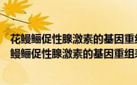 花鳗鲡促性腺激素的基因重组表达及其应用的研究（关于花鳗鲡促性腺激素的基因重组表达及其应用的研究的简介）