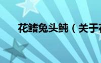 花鳍兔头鲀（关于花鳍兔头鲀的简介）