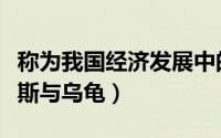 称为我国经济发展中的阿喀琉斯之踵（阿喀琉斯与乌龟）