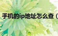 手机的ip地址怎么查（手机如何更换ip地址）