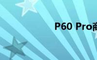 P60 Pro商务版曝光
