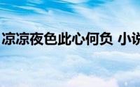 凉凉夜色此心何负 小说（凉凉夜色此心何负）