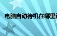电脑自动待机在哪里设置（电脑自动待机）