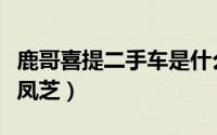 鹿哥喜提二手车是什么车（吉娜喜提中文名吉凤芝）