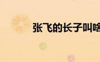 张飞的长子叫啥（张飞的长子）