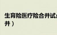 生育险医疗险合并试点城市（生育险医疗险合并）