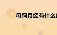 母狗月经有什么症状（母狗月经）