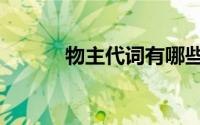 物主代词有哪些（代词有哪些）