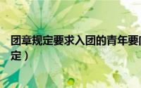 团章规定要求入团的青年要向支部委员会提出申请（团章规定）