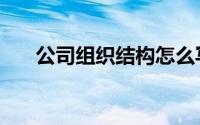 公司组织结构怎么写（公司组织结构）
