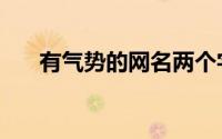 有气势的网名两个字（有气势的网名）