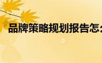 品牌策略规划报告怎么写（品牌策略规划）