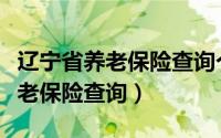 辽宁省养老保险查询个人账户查询（辽宁省养老保险查询）