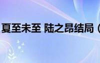 夏至未至 陆之昂结局（夏至未至陆之昂番外）