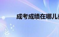 成考成绩在哪儿查询（成考查分）