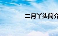 二月丫头简介（二月丫头）