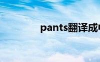 pants翻译成中文（pants）