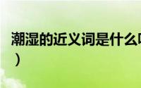 潮湿的近义词是什么呀（潮湿的近义词是什么）