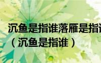 沉鱼是指谁落雁是指谁闭月是指谁羞花是指谁（沉鱼是指谁）