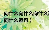 向什么向什么向什么造句简单（向什么向什么向什么造句）
