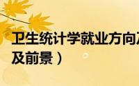 卫生统计学就业方向及前景（统计学就业方向及前景）
