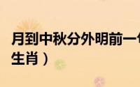 月到中秋分外明前一句（月到中秋分外明什么生肖）