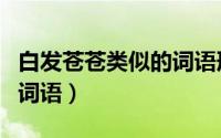 白发苍苍类似的词语形容人（白发苍苍类似的词语）