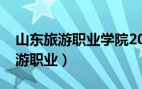 山东旅游职业学院2022年单招成绩（山东旅游职业）