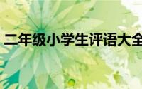 二年级小学生评语大全（二年级小学生评语）