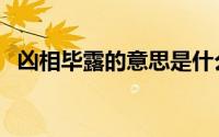 凶相毕露的意思是什么（凶相毕露的意思）