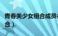 青春美少女组合成员名单（韩国青春美少女组合）