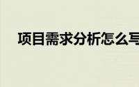 项目需求分析怎么写（需求分析怎么写）