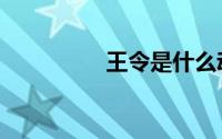 王令是什么动漫（王令）