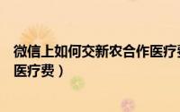 微信上如何交新农合作医疗费贵州（微信上如何交新农合作医疗费）