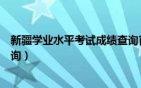 新疆学业水平考试成绩查询官网（新疆学业水平考试成绩查询）