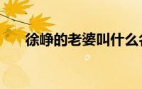 徐峥的老婆叫什么名字（徐铮的老婆）