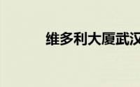 维多利大厦武汉（维多利大厦）