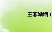 王菲婚姻（王菲婚变）