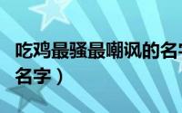 吃鸡最骚最嘲讽的名字是（吃鸡最骚最嘲讽的名字）