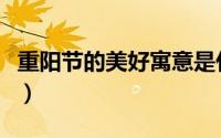 重阳节的美好寓意是什么（重阳节的美好寓意）