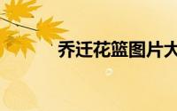 乔迁花篮图片大全（乔迁花篮）