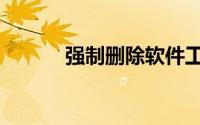强制删除软件工具（强制删除）