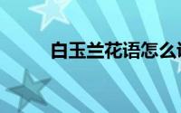 白玉兰花语怎么说（白玉兰花语）