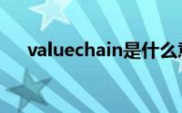 valuechain是什么意思（valuechain）