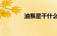 油猴是干什么用的（油猴）