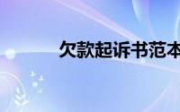 欠款起诉书范本（欠款起诉书）