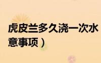 虎皮兰多久浇一次水（虎皮兰的养殖方法和注意事项）