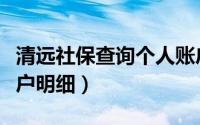 清远社保查询个人账户明细（社保查询个人账户明细）