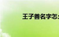 王子善名字怎么样（王子善）