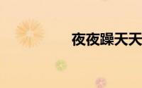 夜夜躁天天躁免费视频